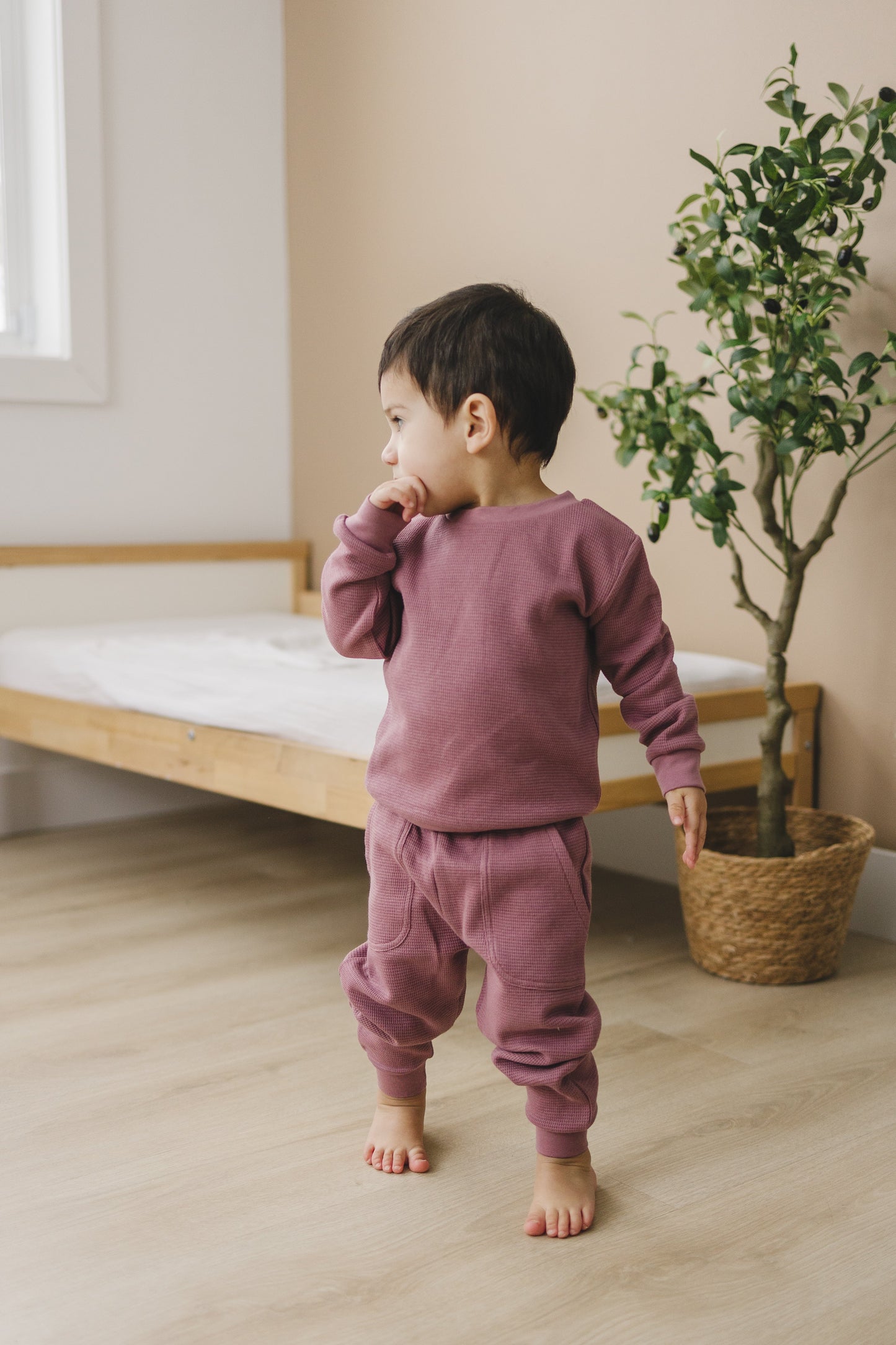 Jogger Pants | Mauve