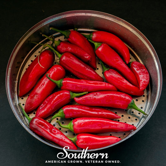 Tabasco Pepper – 50 Seeds